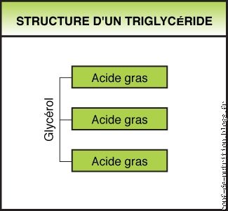 Formule d'un triglycéride